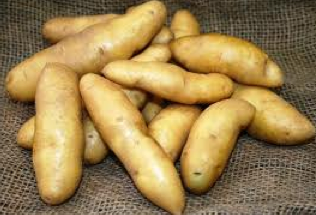 potatoes